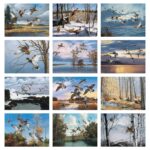 HotLine® Products Maass Wildfowl® Executive Calendar - 1