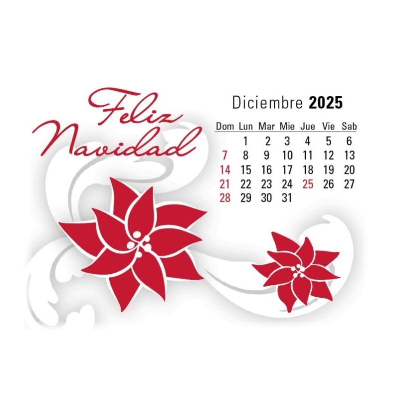 Triumph® Calendars Press-N-Stick Spanish Calendar - 1