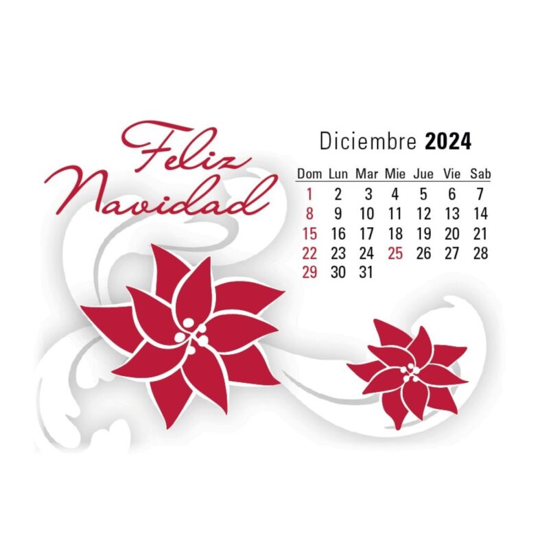 Triumph® Calendars Press-N-Stick Spanish Calendar - 2