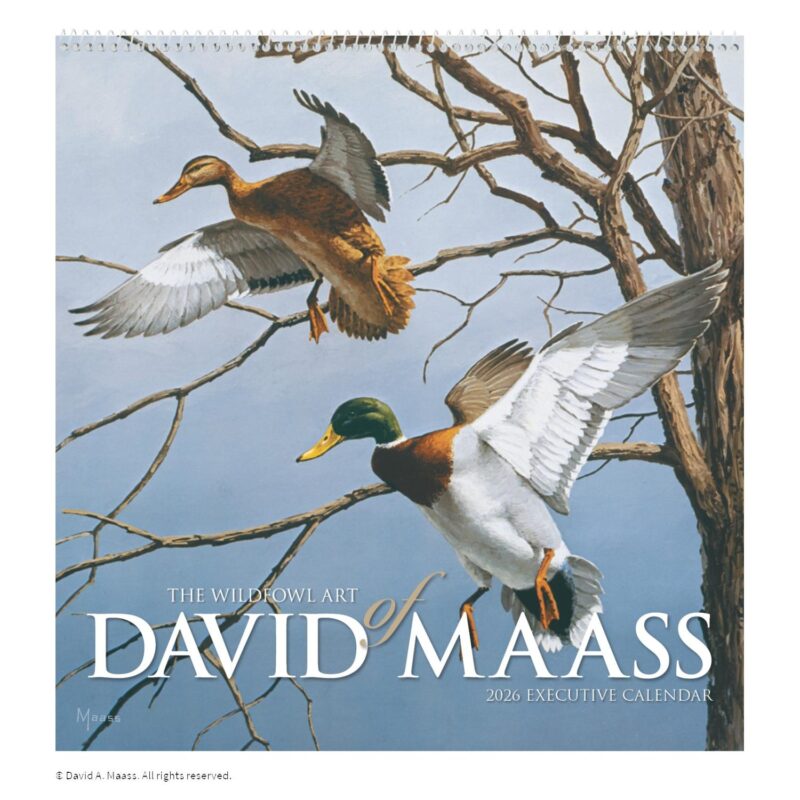 HotLine® Products David Maass Executive Calendar - 1