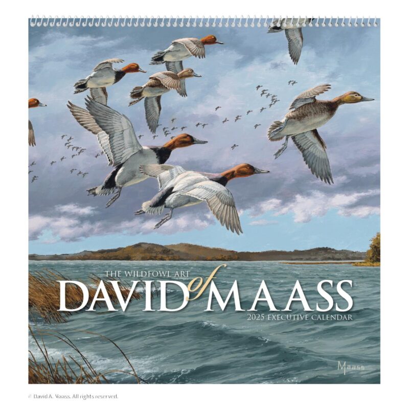 HotLine® Products David Maass Executive Calendar - 5