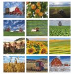 Good Value™ Agriculture - Spiral Calendar - 7