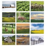 Good Value™ Agriculture - Stapled Calendar - 4