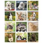 Good Value™ Puppies & Kittens - Mini Calendar - 4