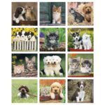 Good Value™ Puppies & Kittens - Mini Calendar - 7