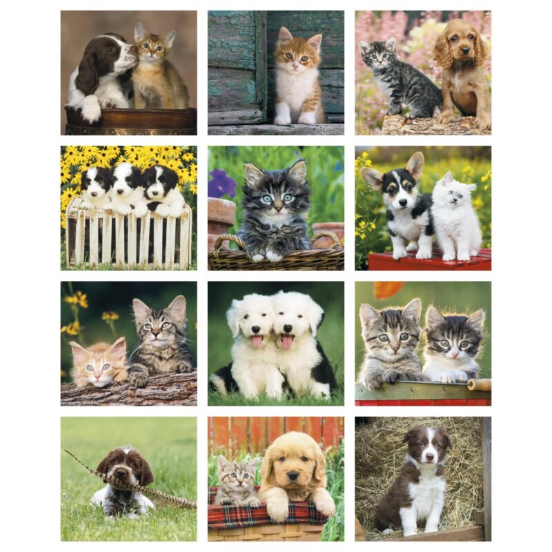 Good Value™ Puppies & Kittens - Mini Calendar - 7