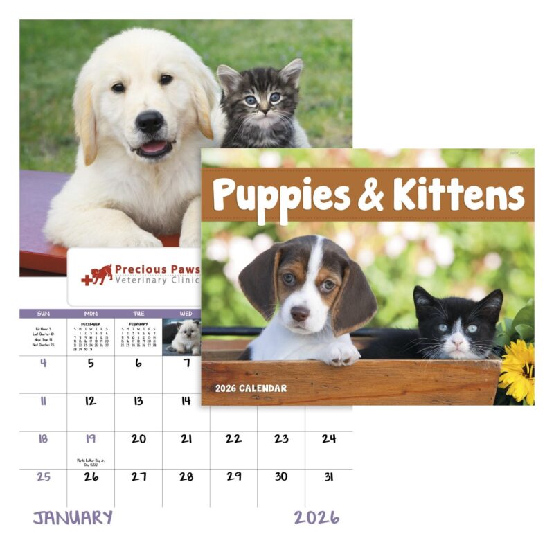 Good Value™ Puppies & Kittens - Window Calendar - 1