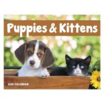 Good Value™ Puppies & Kittens - Window Calendar - 2