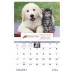 Good Value™ Puppies & Kittens - Window Calendar - 3