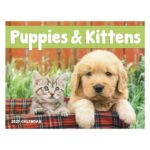 Good Value™ Puppies & Kittens - Window Calendar - 5