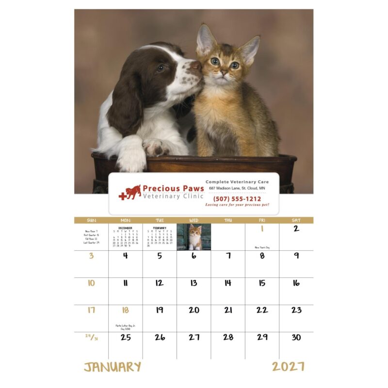 Good Value™ Puppies & Kittens - Window Calendar - 6