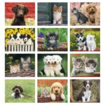 Good Value™ Puppies & Kittens - Window Calendar - 7