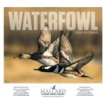 Good Value™ Waterfowl - Stapled Calendar - 2